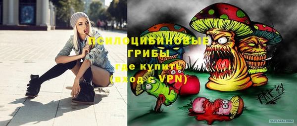 скорость Алексин